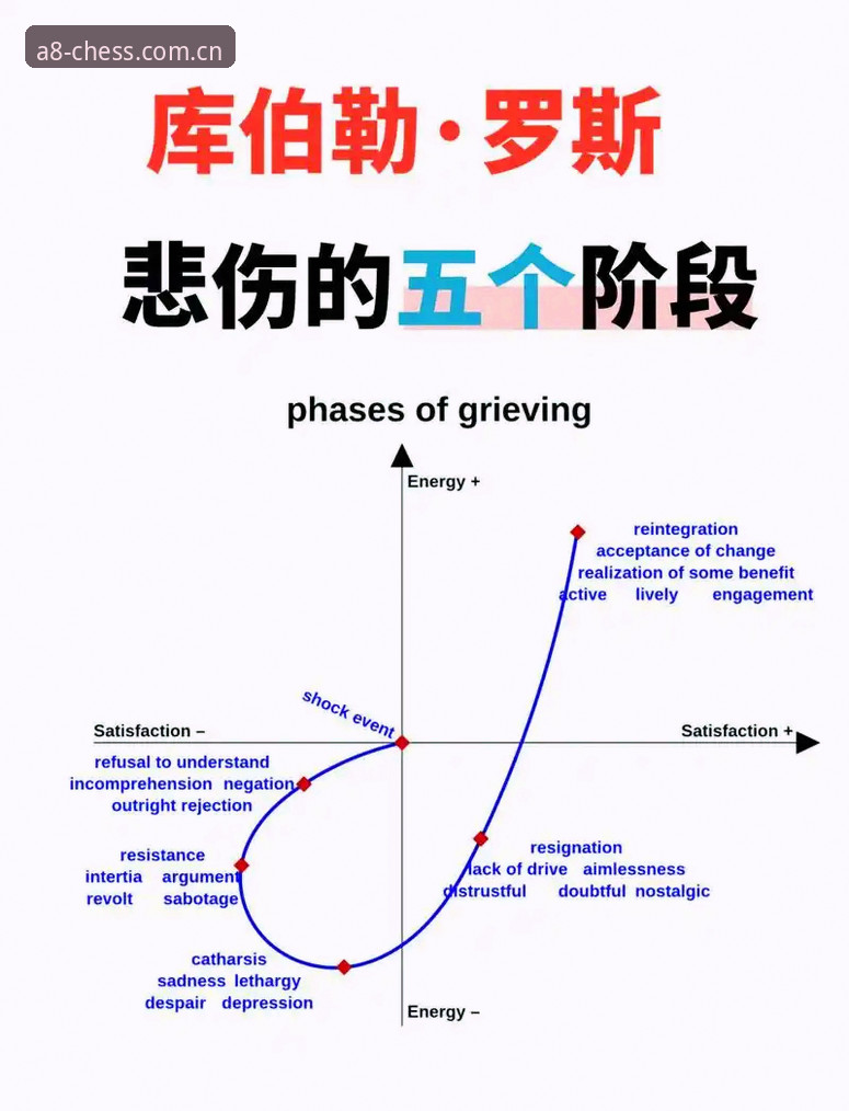 A8棋牌更新 3个关键决策教训:从贝纳蒂亚的马赛困境看职业管理的艰难选择